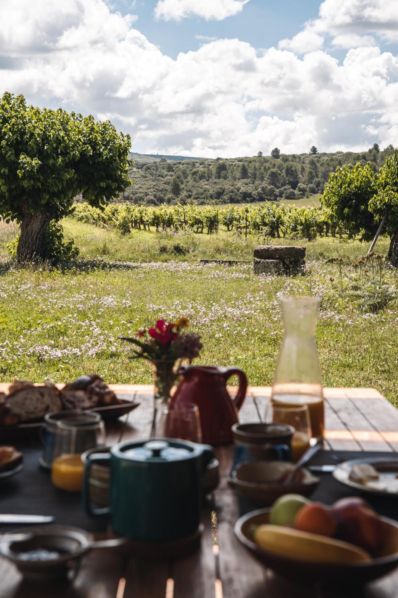 جيغناك Domaine De Pelican المظهر الخارجي الصورة