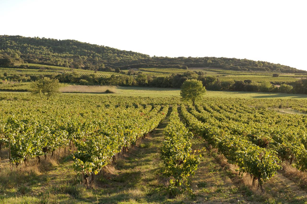 جيغناك Domaine De Pelican المظهر الخارجي الصورة