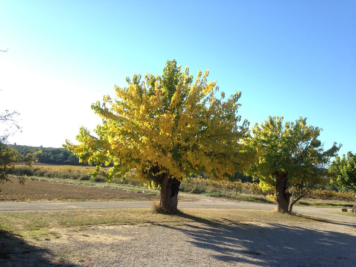 جيغناك Domaine De Pelican المظهر الخارجي الصورة